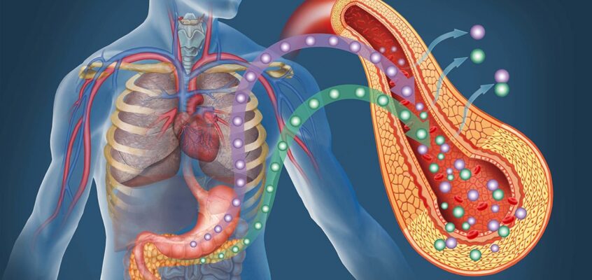 Type 2 Diabetes: Natural Ways to Avoid Risk Factors