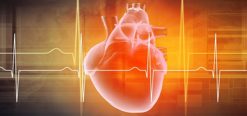 Taking Care of Your Heart: Everyday Habits That Can Help
