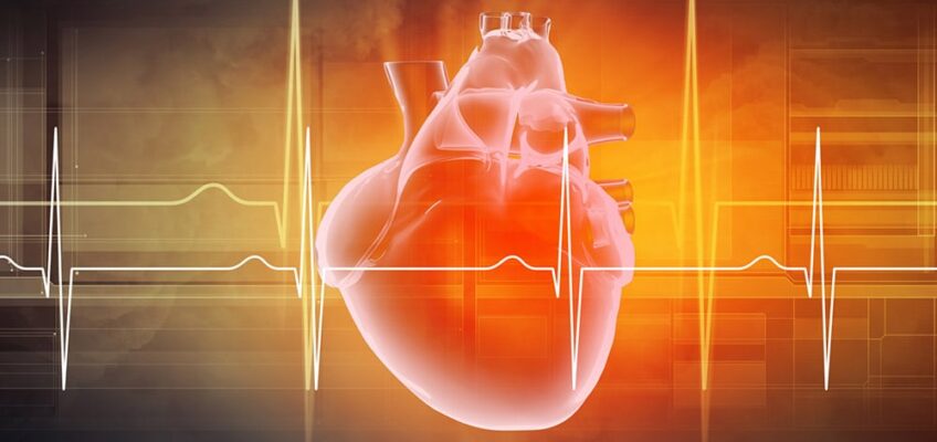 Medical heart scan